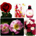 169 - Paris Premieres Roses 2013 - Edition Anniversaire.Paris Premieres Roses Edition Anniversaire  Yves Saint Laurent 