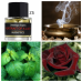 Ss5- Portrait of a Lady Frederic Malle
